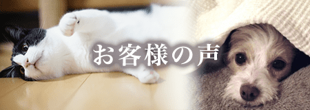 思い出のお手紙